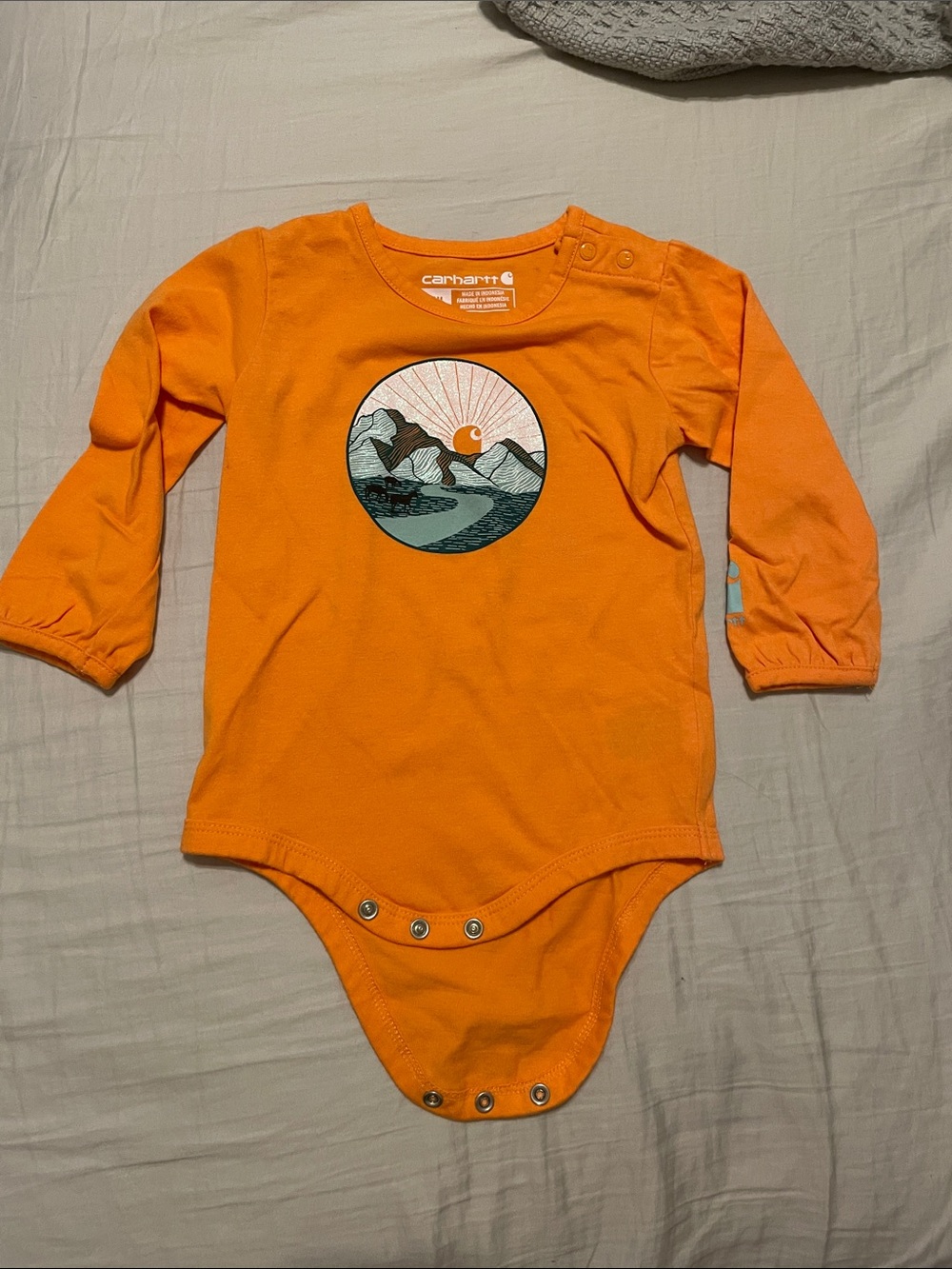Carhartt Orange Long-Sleeve Mountain Graphic Baby Bodysuit